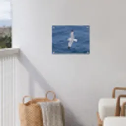 Zeemeeuw - Oceaan - Blauw tuinposter los doek klein -sfeer8