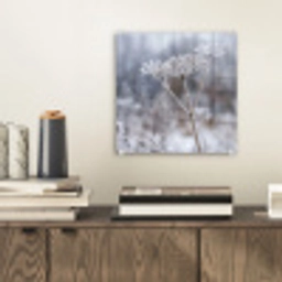 Schermbloem - Rijp - Kristallen - Winter - Delicaat plexiglas 5mm klein -sfeer1
