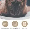Hert - Dieren - Landschap - Winter - Sneeuw Akoestische PET Vilt - Rond klein -closeup_NL