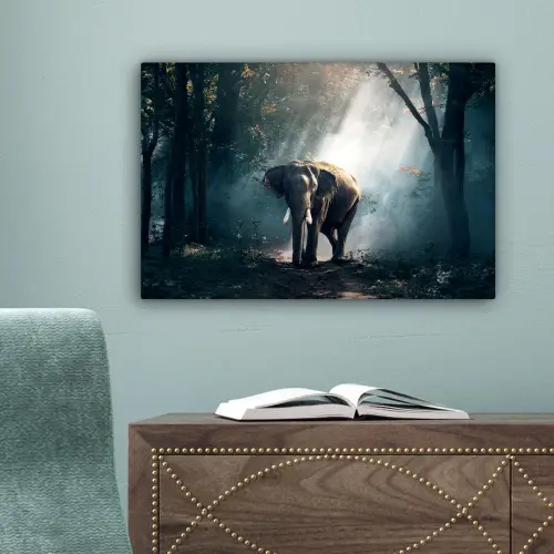 Olifant - Dieren - Licht - Bos - Natuur - Wilde dieren canvas 2cm klein -sfeer4