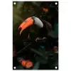 Toekan - Vogel - Jungle tuinposter los doek klein -3d