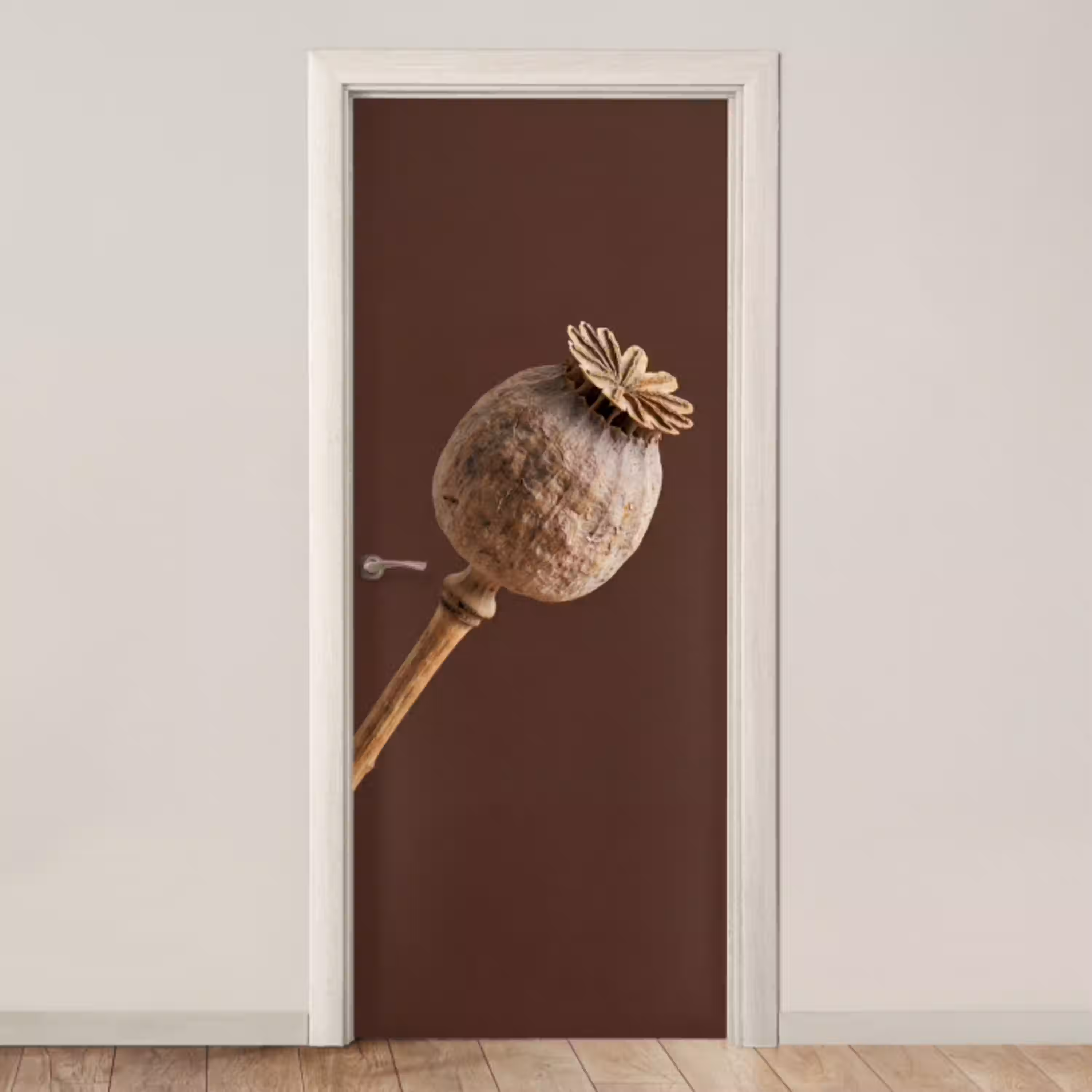 Papaverbol - Droogbloem - Bruin - Minimalistisch deurposter klein -3d_beige