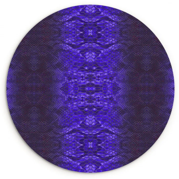 Slang - Boa - Paars - Blauw Wandcirkel plexiglas klein 852 -3d