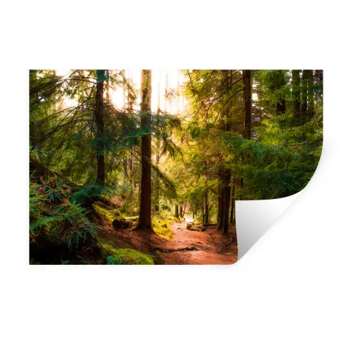 Bos - Pad - Boom Muursticker klein -3d