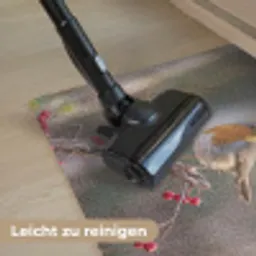 Roodborst - Tak - Bessen - Natuur Deurmat klein -reinigen_DE