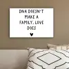 Engelse quote "DNA doesn't make a family, love does" met een hartje op een witte achtergrond canvas 2cm klein -sfeer3