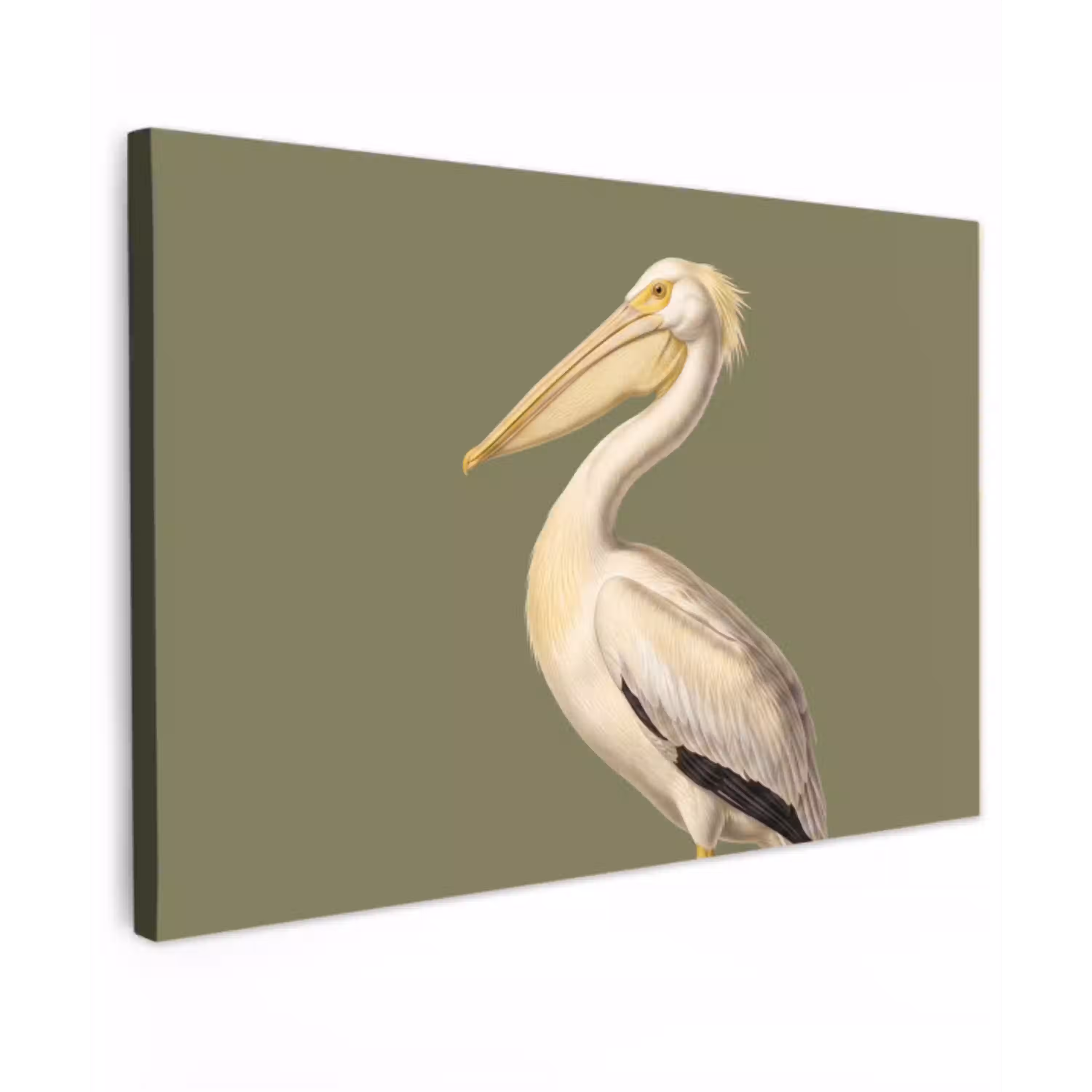 Pelikaan - Wit - Vogel - Klassiek - Natuur Tuinposter op houten frame 2 cm dik klein -3d