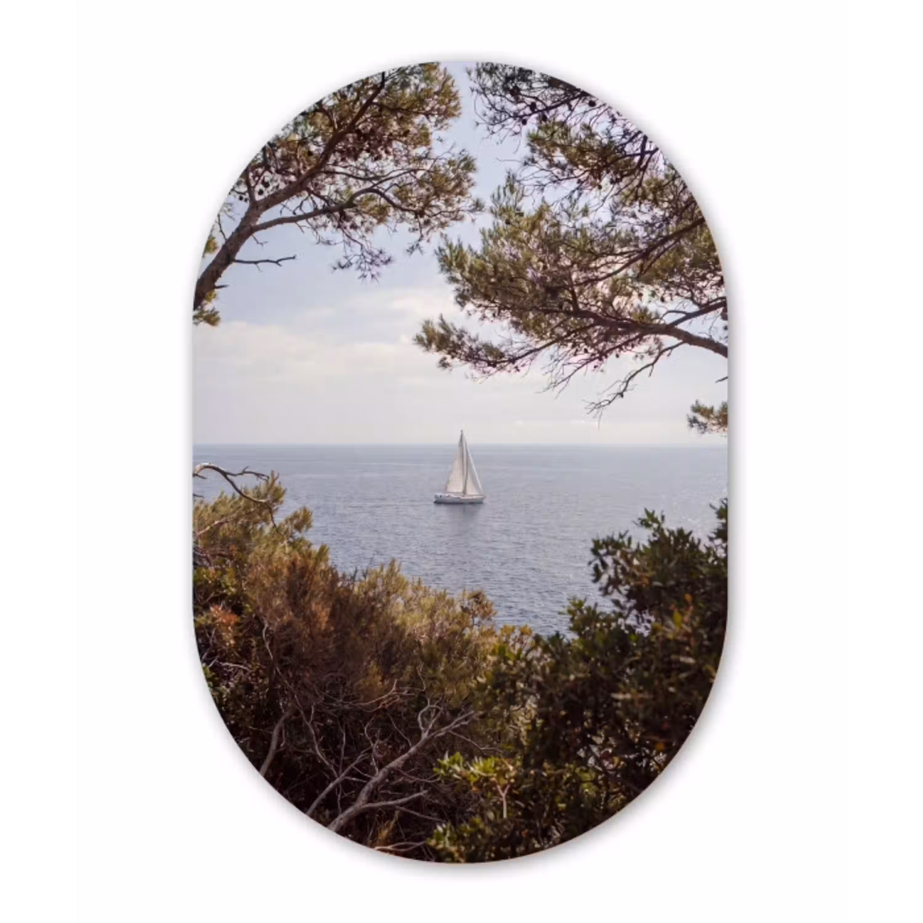 Zeilboot - bomen - water Wandcirkel Ovaal Glas middel -3d