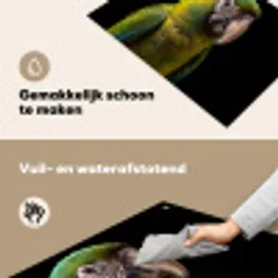 Ara - Portret - Groen Inductie beschemer met haakjes klein -ky-schoon-nl