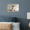 Ezel - Dieren - Badkuip - Schuim poster papier klein -sfeer2