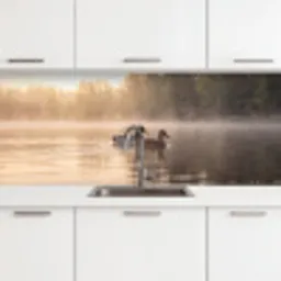 Eenden - Water - Mist - Natuur keuken achterwand 2 middel -3d