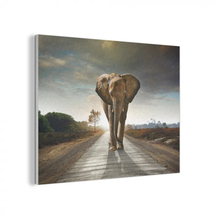 Olifant - Weg - Dieren - Zonsondergang - Landschap PET vilt klein -3d