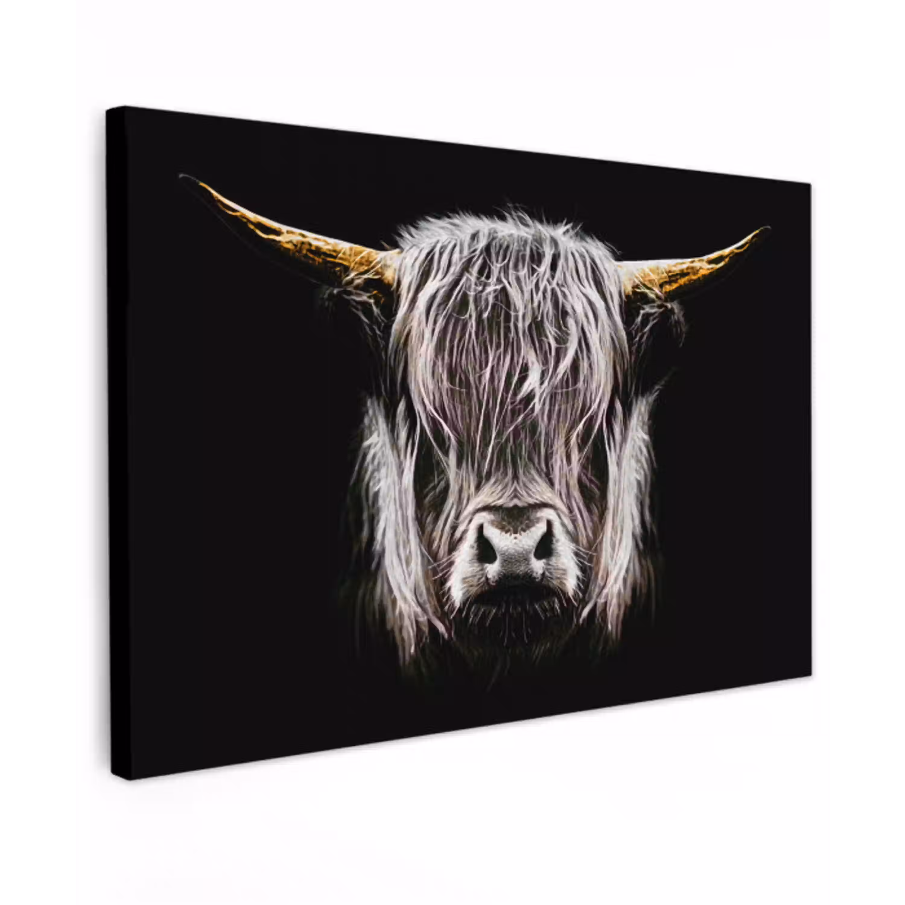 Schotse hooglander - Goud - Hoorns - Zwart wit - Koe - Dieren canvas 2cm klein -z3d