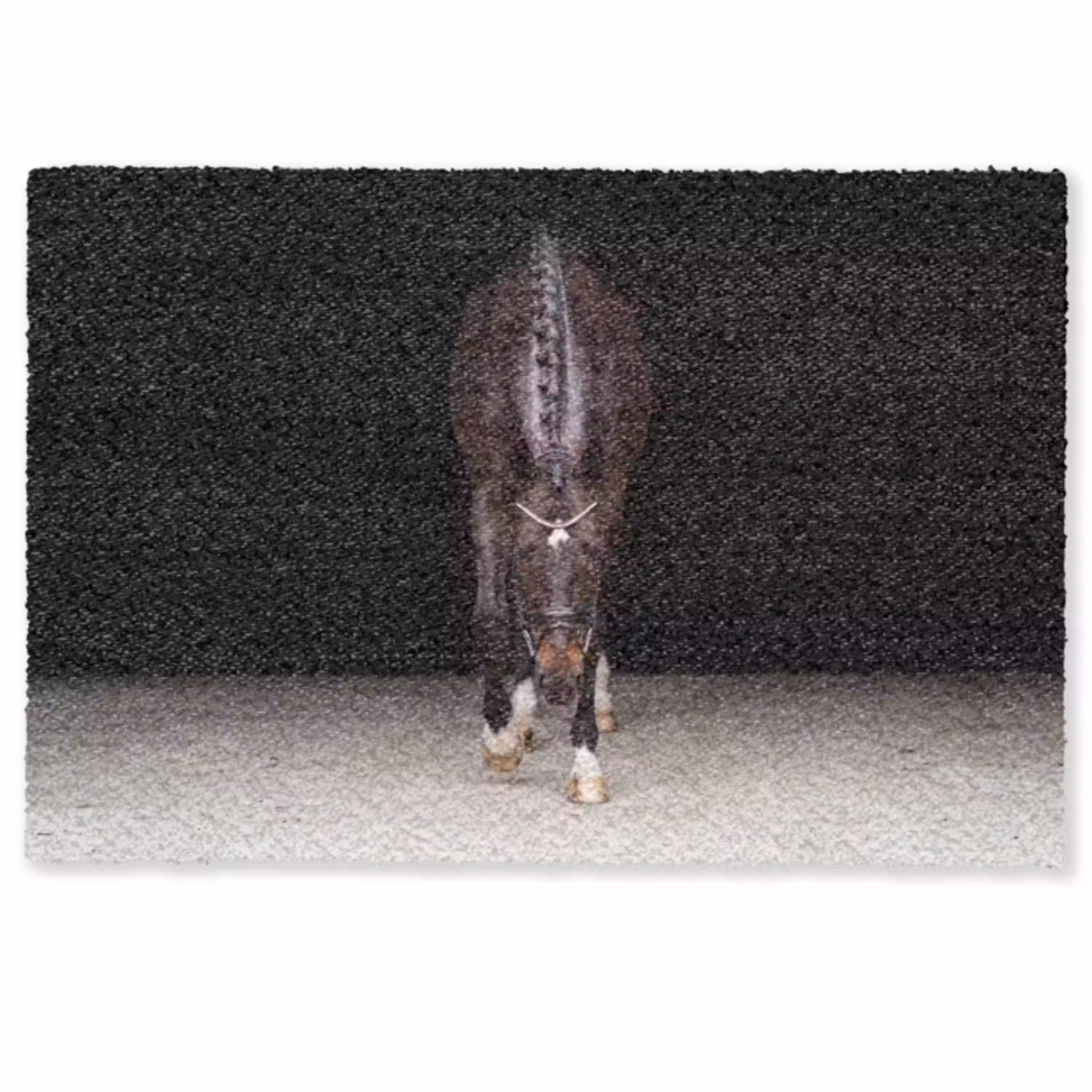 Paard - Modern - Portret Deurmat klein -zkaufland3d