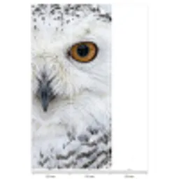 Sneeuwuil - Oog - Wildlife - Wit Behang Vlies klein -USP_banen