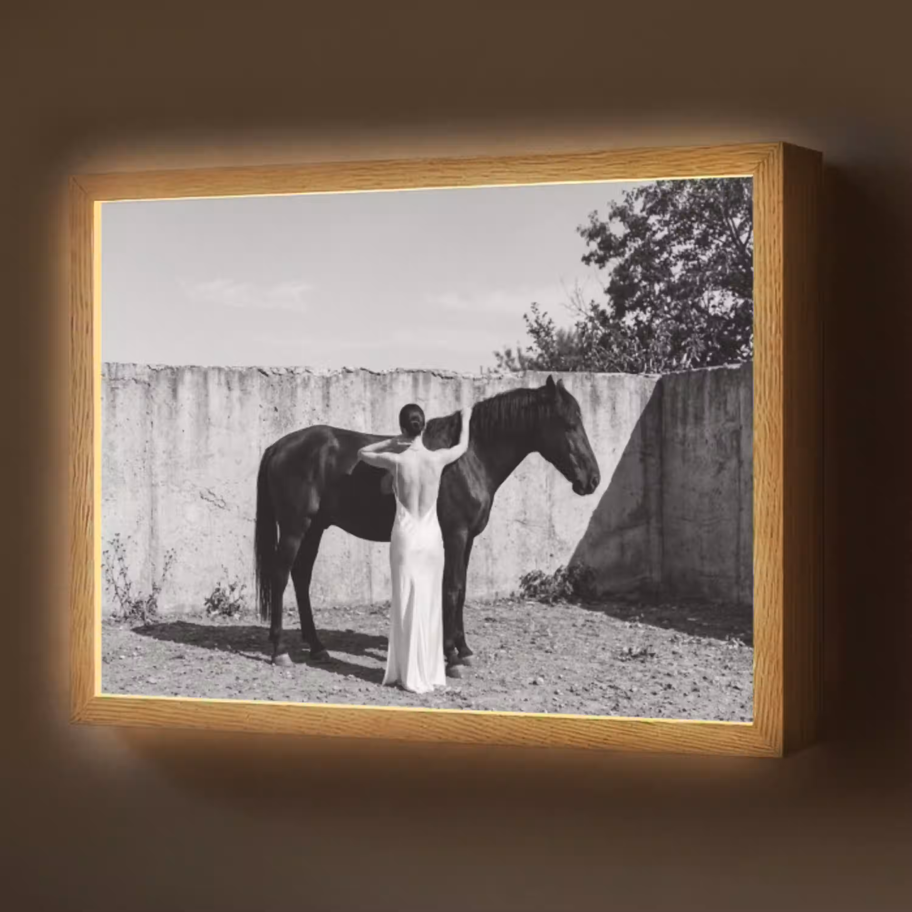 Vrouw - Paard - Artistiek Light Box met batterij (Wandlamp) middel -z3d_website