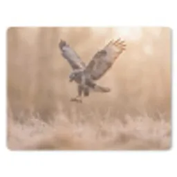 Buizerd - Roofvogel - Natuur - Bruin muismat rubber klein -3d
