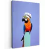 Papegaai - Koksmuts - Vogel - Leuk Tuinposter op houten frame 2 cm dik klein -3d