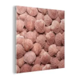Schelpen - Patroon - Roze plexiglas 5mm klein -z3d