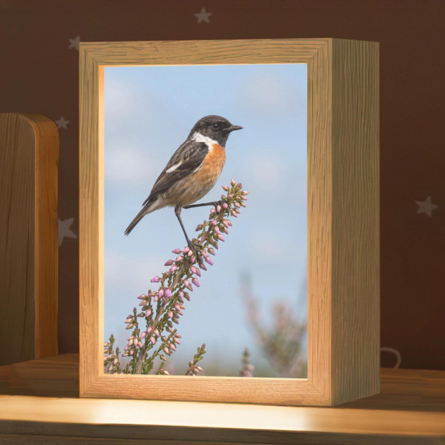 Roodborsttapuit - Heide - Paars - Natuur - Sfeervol Light Box met kabel (Kinderlampje) klein -zzz_3d_website