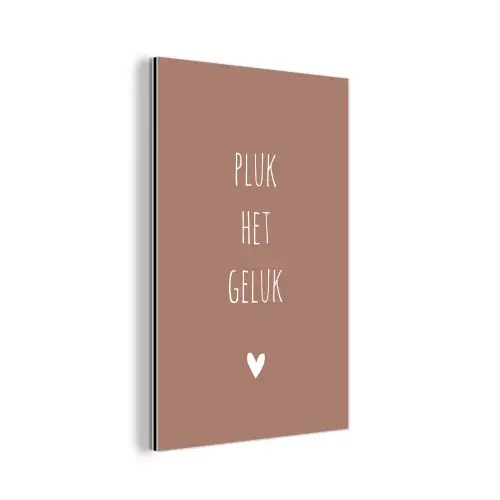 Spreuken - Pluk het geluk - Quotes aluminium wit klein -3d
