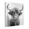 Schotse Hooglander - Dier - Douche - Humor plexiglas 5mm klein -z3d