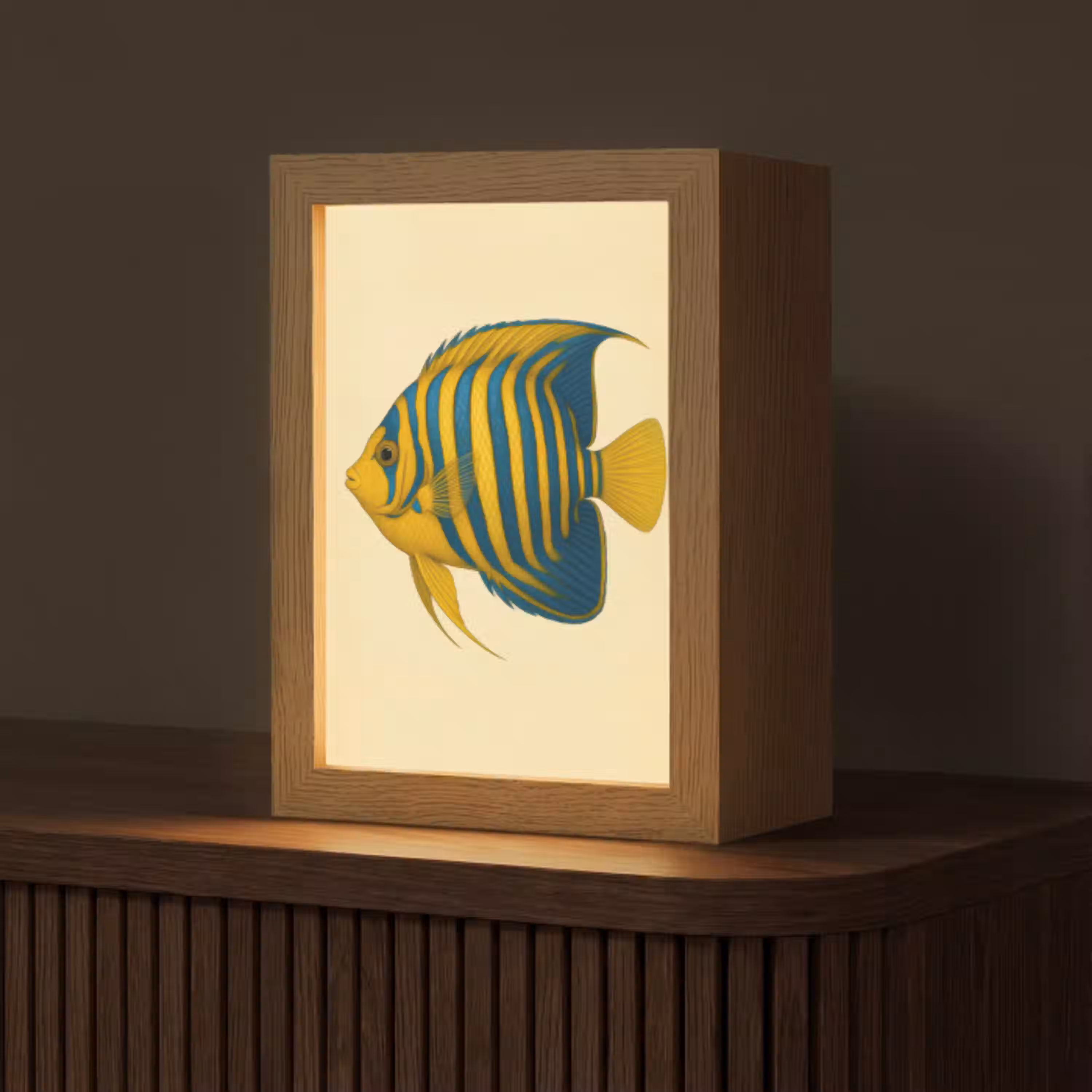 Felgeel - Vis - Strepen - Vinnen Light Box met kabel (Tafellamp) klein -z3d_website