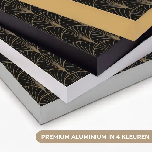 Gouden - Waaiers - Zwart Textielframe zwart klein 947 -USP_kleurenNL
