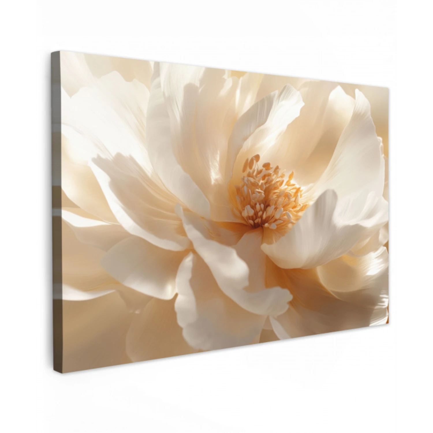 Close up - Pioenroos - Wit Tuinposter op houten frame 2 cm dik klein -3d