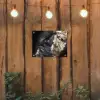 Vrouw - Goud - Zwart - Verf - Luxe tuinposter los doek klein -sfeer1