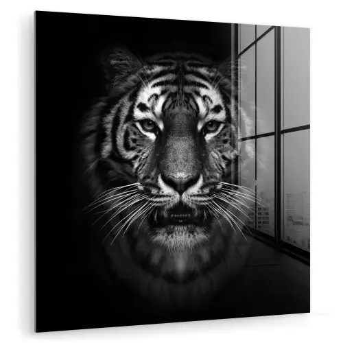 Tijger - Dieren - Zwart - Wit - Portret - Wild plexiglas 5mm klein -zzzproduct_nieuw