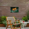 Paradijsvogel - Bloem - Exotisch Tuinposter op houten frame 2 cm dik klein -sfeer3