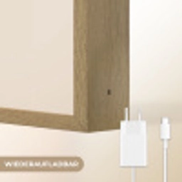 Hond - Gevlekt - Bruin Light Box met batterij (Wandlamp kind) middel -USP_websiteoplaadbaarDE
