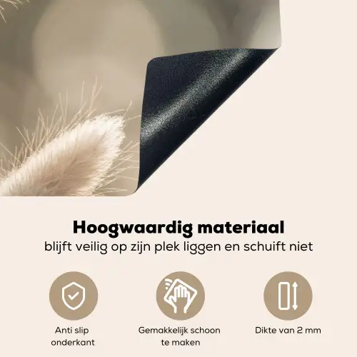 Hazestaartgras - Wit - Zonlicht Inductie beschemer met haakjes klein -ky-onderkant-nl
