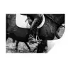 Paard - Sport - Zwart - Wit Muursticker klein -3d