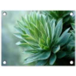 Blad - Plant - Groen - Textuur tuinposter los doek klein -3d