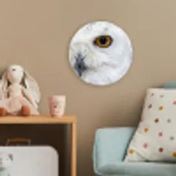 Sneeuwuil - Oog - Wildlife - Wit Wandcirkel kunststof plaat 5mm dik klein -tsfeer1_kind