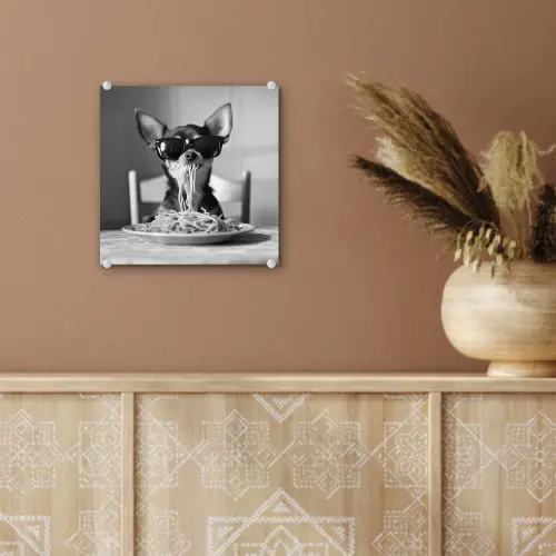 Chihuahua - Hond - Zonnebril - Humoristisch - Zwart - Wit - Spaghetti plexiglas 5mm klein -sfeer5