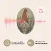 Kerstgnome - Konijntjes - Kleurrijk Akoestische PET Vilt - Rond klein -USP_NL