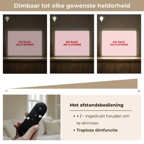 No rain no flowers - Minimalistisch - Roze - Bloem Light Box met batterij (Wandlamp) middel -USP_dimbaarNL