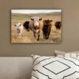 Runderen - Kudde - Landschap - Weide - Rustig canvas 2cm klein -sfeer3
