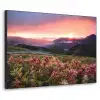 Bloemen - Bergen - Landschap - Nacht - Lucht - Roze Textielframe zwart klein -3d