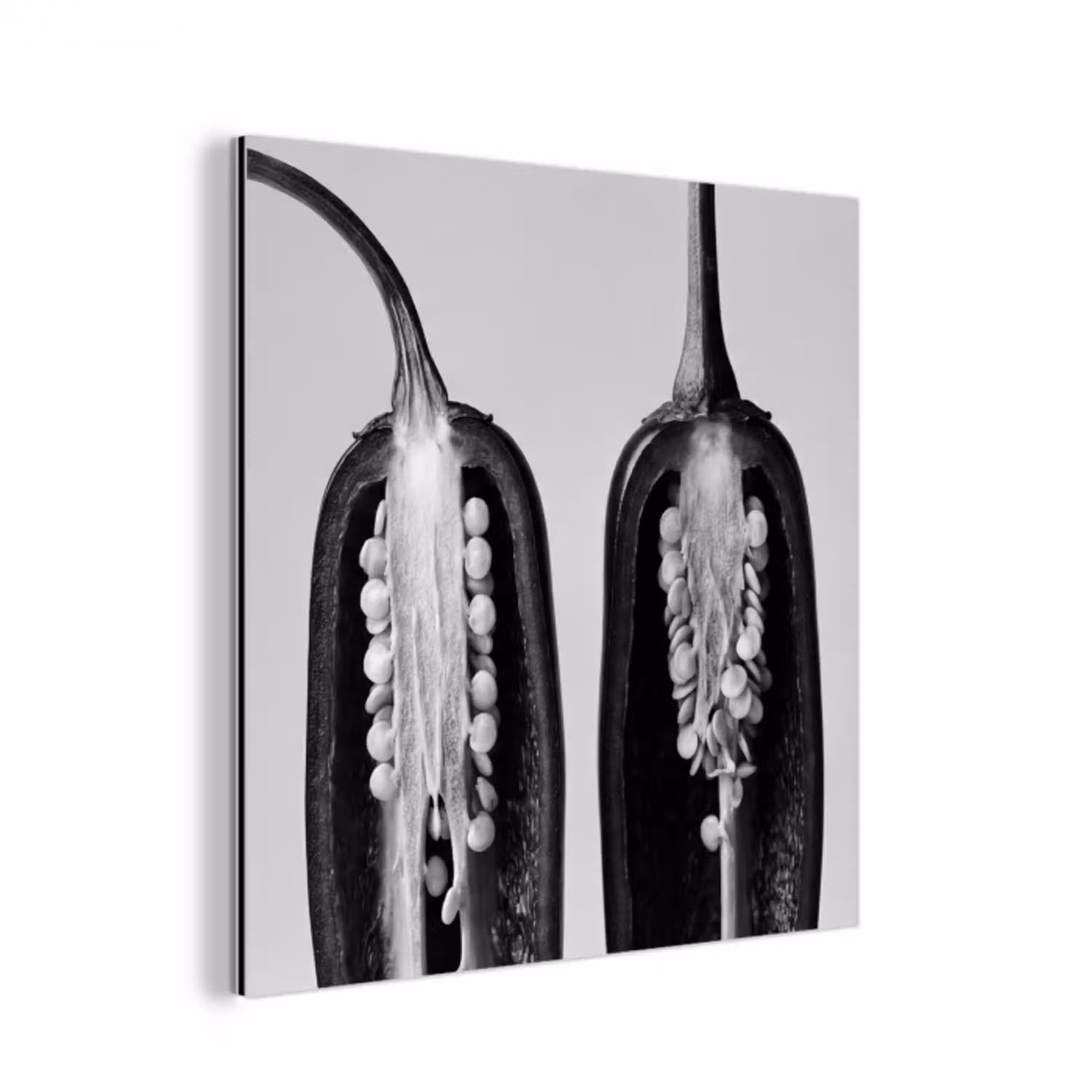 Pepers - Zwart - Wit - Zaadlijsten aluminium wit klein -3d