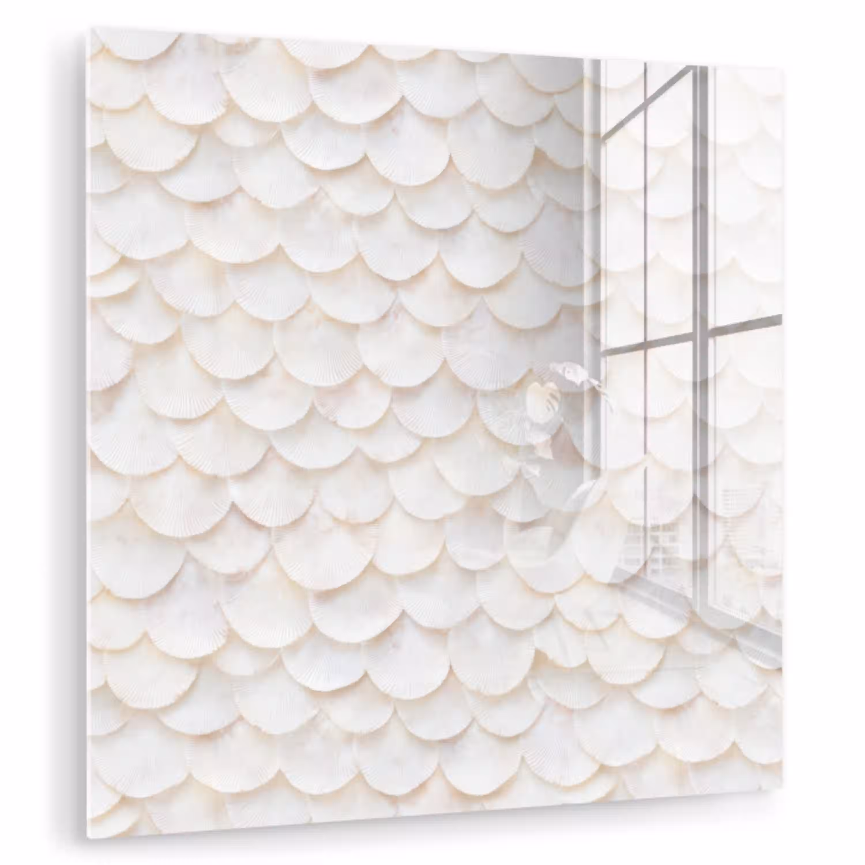 Schubben - Wit - Elegant plexiglas 5mm klein 11 -zzzproduct_nieuw