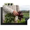 Bieten - Vers - Moestuin Inductie beschemer met haakjes klein -3d