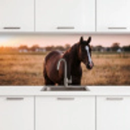 Paard - Zonsondergang - Bruin keuken achterwand 2 middel -3d