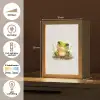 Kikker - Groen - Waterverf - Dieren - Jongen - Meisje Light Box met kabel klein -USP_NL