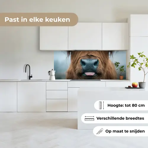 Schotse hooglander - Neus - Bruin keuken achterwand 2 middel -sfeer4_NL