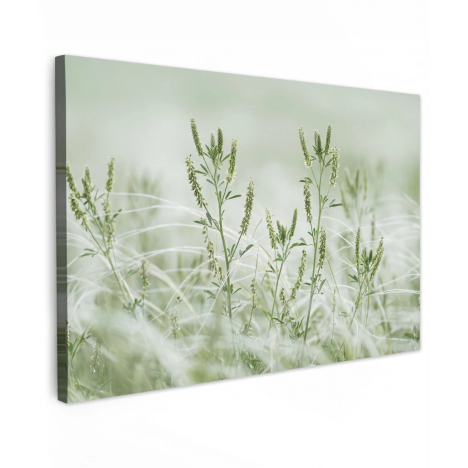 Grassen - Minimalistisch - Groen canvas 2cm klein -z3d