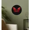Vlinder - Rood - Minimalistisch Wandcirkel behangsticker klein -sfeer2